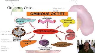 Diabetes Pathophysiology Video [upl. by Egdamlat761]