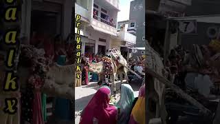 वरघोडा in my village vardhodoshorts jainismvarghoda [upl. by Tewfik186]