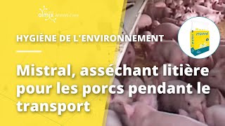 Mistral asséchant litière pour les porcs pendant le transport [upl. by Rosdniw582]