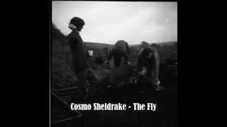 Cosmo Sheldrake  The Fly [upl. by Aela]