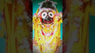 Kalia Tu kapatia shreegadadharjew shrijagannath [upl. by Maryly229]