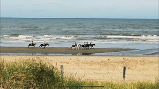 THE NORTH SEA NOODRWIJK NETHERLANDS 🇳🇱  NOORDWIJK BEACH [upl. by Leuname]