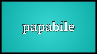 Papabile Meaning [upl. by Marras]