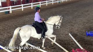 Cavaletti Training in bent and straight lines [upl. by Snider]