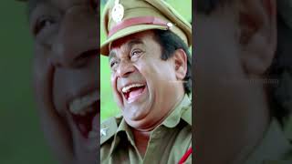 వేణు తో ఆడుకున్న బ్రహ్మి 😂  Brahmanandam  Ramachari Movie  Venu Thottempudi  YouTubeShorts [upl. by Mode]