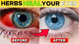 12 Herbs That SHIELD Your Eyes amp Restore Vision [upl. by Kathlin126]