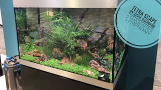 OASE HihgLine 175 Tetra Aquascape [upl. by Yenruogis]