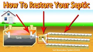 Restoring A Septic Drain Field First Steps Least Vs Most Expensive [upl. by Nirag]