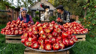 Stuffed Bell peppers Recipe Perfect for Whole Year [upl. by Blain]