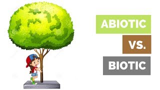 Abiotic vs Biotic Factors in a Habitat  BIOLOGY BASICS [upl. by Seed470]