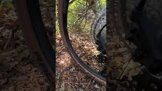 Canyon Lux Trail CF 6 detailed look and close up mtb xc trail carbonfiber [upl. by Bernita658]