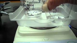 Reaction Between Sodium Carbonate and Acetic Acid [upl. by Donalt]