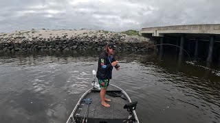 Fishing the port of Brisbane [upl. by Ahseetal]