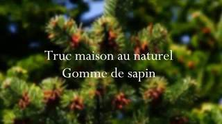 Enlever la gomme de sapin  TRUC MAISON AU NATUREL [upl. by Eednas]