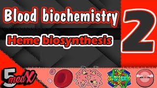 lecture 2 Heme biosynthesis and catabolism [upl. by Bessie]