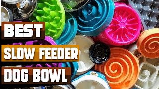 Best Slow Feeder Dog Bowl In 2024  Top 10 Slow Feeder Dog Bowls Review [upl. by Olfe]