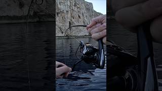 Jigging en Inverno 🥶🐟 fishing pesca mallorca jigging [upl. by Enimrej]