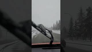 First Snowing in Edmonton Alberta Canada 🇨🇦 edmonton canadianprovince edmontonalberta canadapark [upl. by Jez]