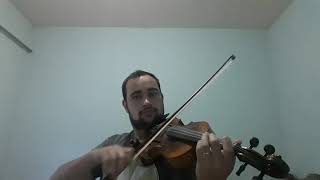 Queria ter asas para voar  Cover Violino [upl. by Neysa]