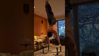 PLANCHER without gravity🔥 motivation planche pushups maltese streetworkout calisthenics gym [upl. by Inilahs]