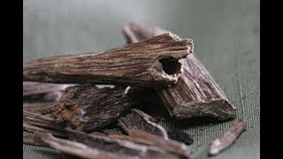 Health Benefits of Agarwood [upl. by Ennywg]