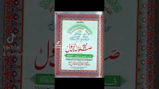 Majmua duroodo salam  Durood Sharif  duroodshareefﷺ duroodsharif duroodosalam reel reelsvideo [upl. by Chang]