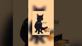 Warrior Cat Meme hollyleaf warriorcats lionblaze jayfeather lol [upl. by Bohaty]