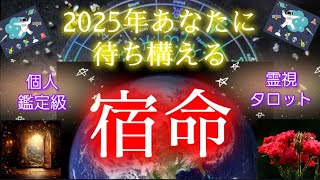 【個人鑑定級】風の時代が深まり二極化が進みます。既に冥王星の深まりのエネルギーが流れています✴️準備は良いですか❔『2025年あなたに待ち構える宿命』【霊視タロット】 [upl. by Angelico159]