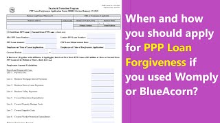 PPP Forgiveness Deadline Update  when exactly you should apply if you used Womply or BlueAcorn [upl. by Aseram]