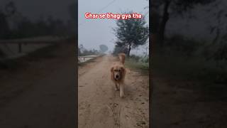 Ghar se bhag gya 🥲 music heeriyelofi bollywood  love shortsvideo [upl. by Liw109]