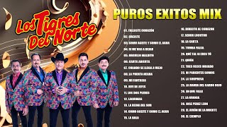 2 Hora De Puros Corridos De Los Tigres Del Norte Éxitos 💃 Los Tigres Del Norte Mix 2024 Pa Pistear [upl. by Lorenz]