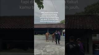 Tidak semua suka story katakata quotes shortvideo [upl. by Hakeber]