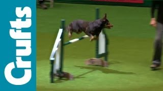 Agility  ABC  Jumping  Crufts 2012 [upl. by Deegan]