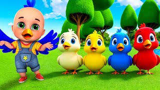 Five Cute Little Birds New Compilation  Bingo Song  Nursery Rhymes and Kids Songs  Baby Bobo [upl. by Eisler717]