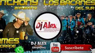 🔥 Mix Anthony ZambranoJames Andradebacanes del sur djalexzambrano tendencia anthonyzambrano 🍻 [upl. by Noyk]