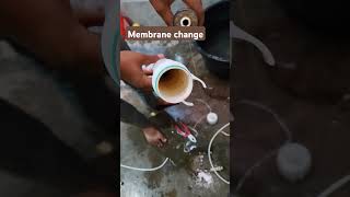 Membrane change shorts viralvideo video youtubeshorts youtube shortvideo short [upl. by Ithnan]