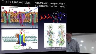 Biophysical chemistry 2017  lecture 1 [upl. by Materi]