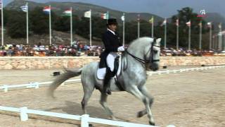 FUEGO DE CARDENAS Campeonato España Doma Clásica 2008 Gran Premio Especial [upl. by Taft412]