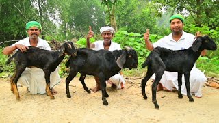 30 KG Mutton Curry Recipe  Mutton curry recipe cooking for village poor people  Helping kitchen [upl. by Aerdnaid268]