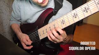 Aborted  Squalor Opera Guitar Solo Cover [upl. by Waechter]