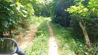 Trail in DRT BULACAN Honda 100 [upl. by Klara839]