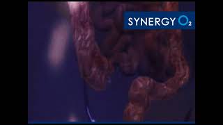 Beneficios del Oxigeno Liquido SynergyO2 [upl. by Einnok]