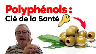 Les Polyphénols  Une des Clés de la Santé [upl. by Cannon287]