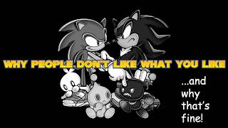 Sonic Fans Vs Outside Opinions [upl. by Bartram428]