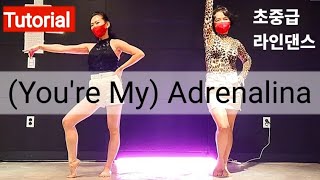 라인댄스 tutorial  Youre My Adrenalina Line dance  Improver  유어 마이 아드레날린 라인댄스 [upl. by Erving]