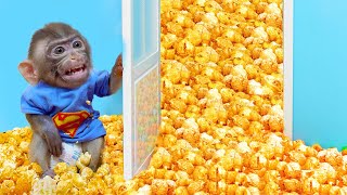 Baby Monkey Bon Bons Epic Popcorn Explosion 🍿🔥 [upl. by Bokaj]