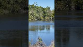 McLeod Memorial Park Near NASA Installation Stennis [upl. by Areehs]