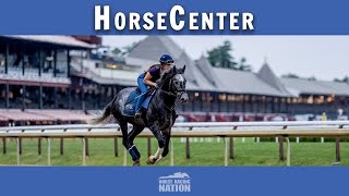 Cigar Mile and Remsen Stakes top picks on HorseCenter [upl. by Moody]