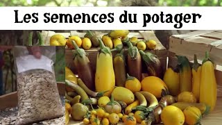 Faire ses semences au potager [upl. by Ahseyi]