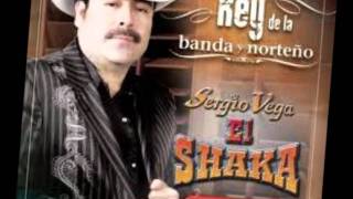 sergio vega  el coco [upl. by Brana]